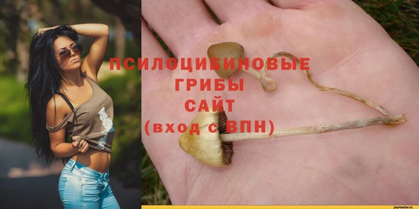 экстази Михайлов