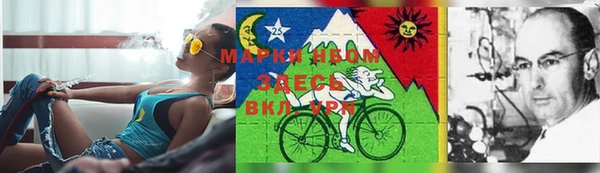 экстази Михайлов