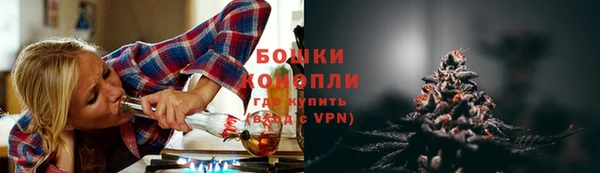 крисы Медногорск