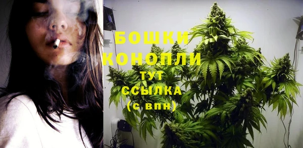 стафф Кулебаки