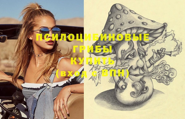 крисы Медногорск