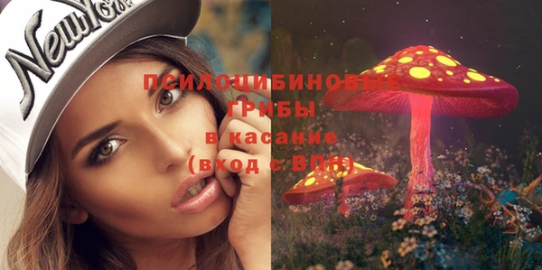 СК Михайловск