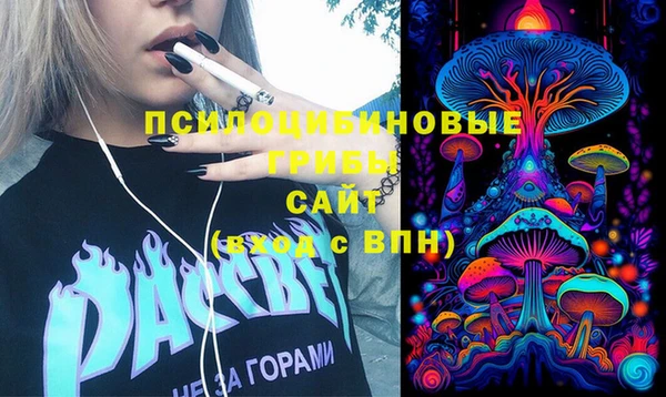 крисы Медногорск