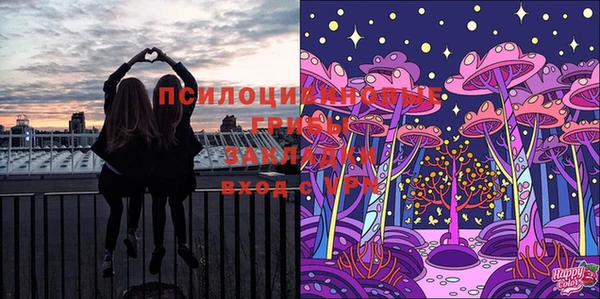 spice Анжеро-Судженск