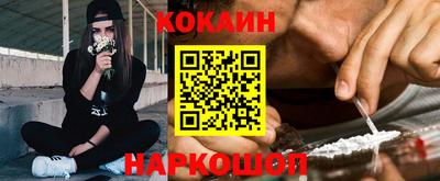 шишки Изобильный