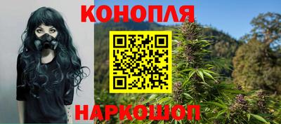 шишки Изобильный