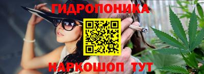 шишки Берёзовский