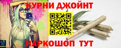шишки Изобильный