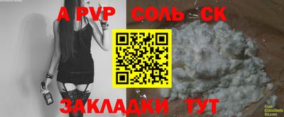 шишки Изобильный