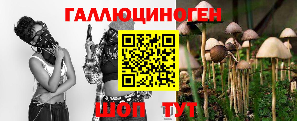 Галлюциногенные грибы мухоморы  наркотики  Норильск  Галлюциногенные грибы прущие грибы 