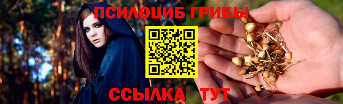 Псилоцибиновые грибы мухоморы Норильск